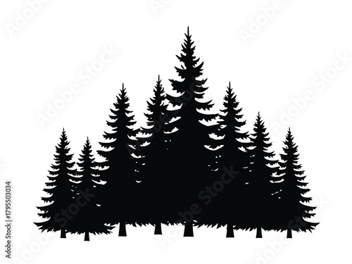Black pine forest silhouette trees
