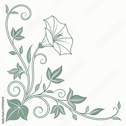 Elegant green floral corner design with swirling vines and a blooming bindweed flower illustration