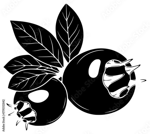 A black and white illustration of two ripe fruit with leaves, black, illustration, image, insect, leaf, logo, opera, snake, white, against transparent background