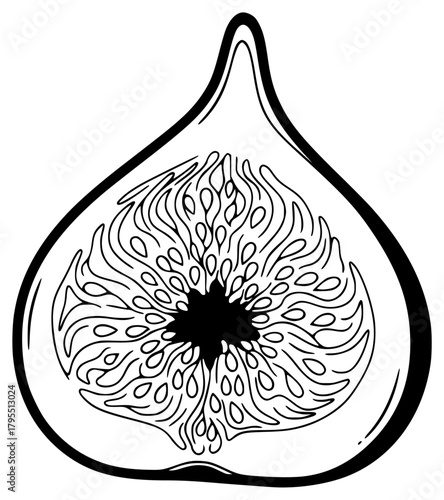 A black and white line drawing of a fig with a floral design, black, design, fig, illustration, mandala, pattern, white, against transparent background