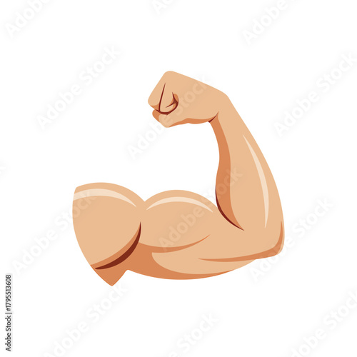 Illustration of a flexed muscular arm showing bicep and forearm definition