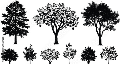 Tree and shrub silhouettes, black illustration, diverse plant shapes, botanical reference, foliage texture, nature design, landscape element, graphic vegetation forms