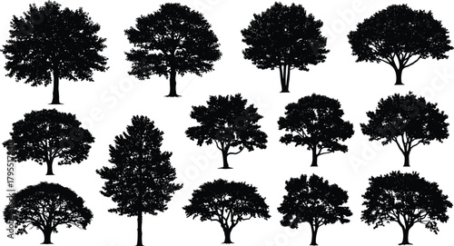 Tree silhouette collection, black illustration, diverse tree shapes, botanical reference, landscape design element, nature texture, artistic foliage, graphic tree forms