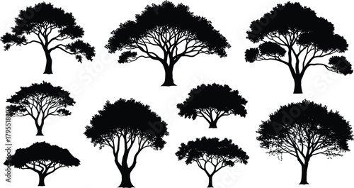 Tree silhouette collection, black illustration, diverse tree shapes, nature structure, botanical reference, artistic design, foliage texture, landscape element, graphic trees