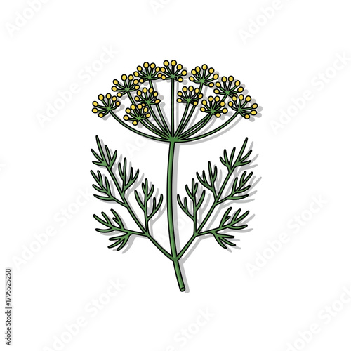Illustration of a dill plant with green leaves and small yellow flowers, showcasing herbs, cooking, and nature