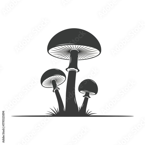 Three dark mushrooms growing in grass