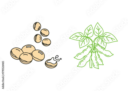 Icon of soybeans. A natural vegetable food. Soybean seeds used for healthy soy milk. Soya bean plant for food applications on the web. Editable stroke outline style. Vector illustration 