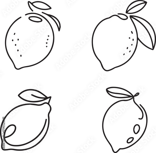 Lemon lime vector illustration line art citrus fruit food drawing design