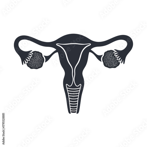 Stylized illustration of female reproductive system