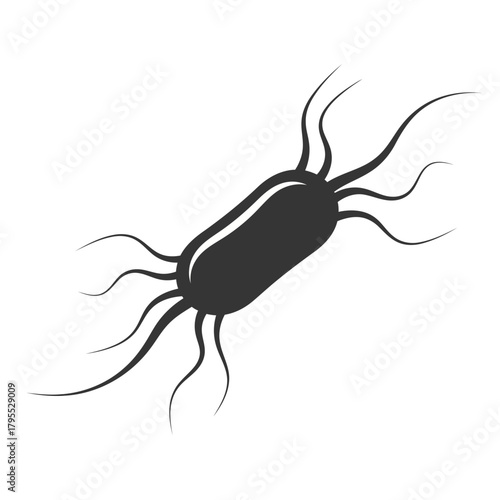 Microscopic view of a single bacterium with flagella, scientific illustration of a microorganism