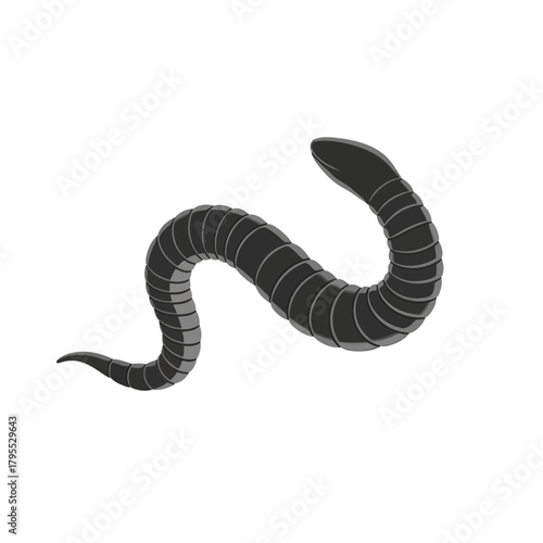 A segmented, black and grey worm or snake coiled in a curve