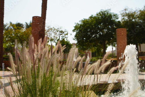 fountain in the park