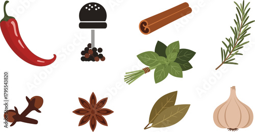 A vibrant collection of fresh culinary herbs and spices for cooking and flavor