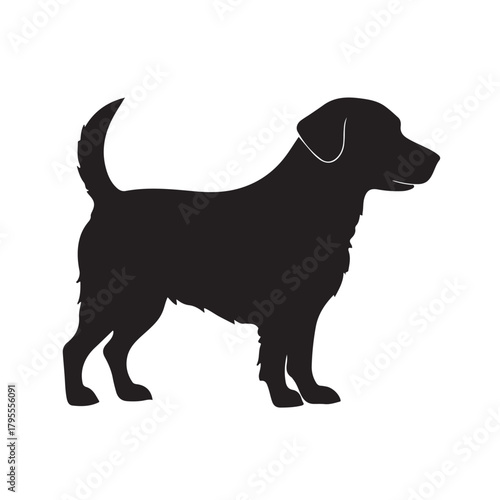 Labrador retriever dog. Vector black silhouette.
