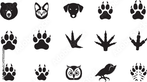 Assortment of black animal heads and paw prints on white background animals wildlife