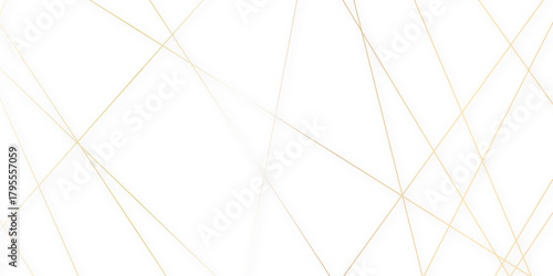 Abstract gold lines on transparent background. random chaotic lines abstract geometric patterns of modern design. geometric design created using light colorful digital net web line technology.