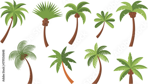 Palm tree illustration set, tropical plant vector, green frond design, coconut tree sketch, botanical artwork, summer nature themed graphic