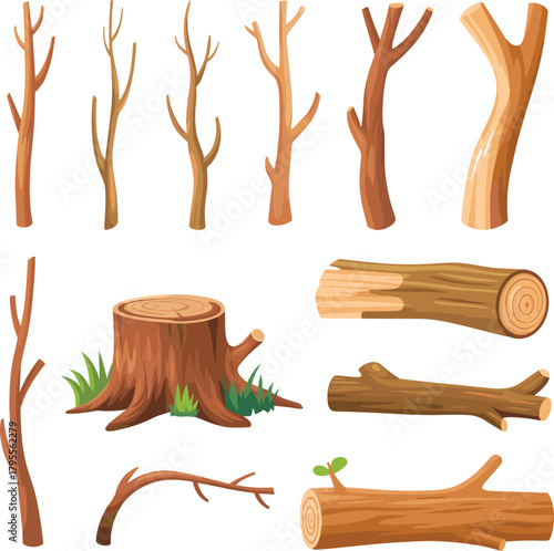 Tree anatomy illustration, branch log stump vector, nature element set, wood structure drawing, educational forest parts design