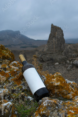 A bottle of wine in the mountains