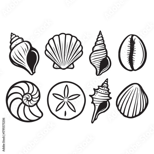 Seashells set vector 