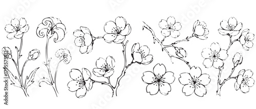 A black and white drawing of flowers with a white border. The flowers are drawn in a stylized way, with some of them having a more delicate appearance