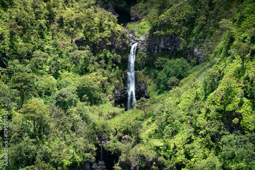 Tall Waterfall Cascading Through a Lush Tropical Gorge
