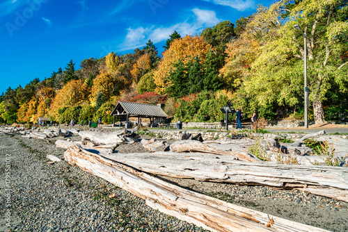 Wallpaper Mural Autumn Walkway Lincoln Park 7 Torontodigital.ca