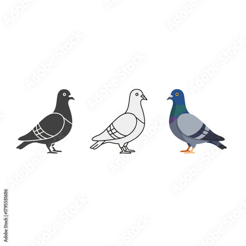 Three pigeons shown in different art styles a detailed illustration of a pigeon in black and white and color
