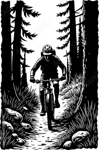 Mountain Biker in Forest Silhouette