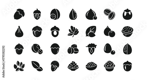Collection of various acorn and nut icons in a monochrome style