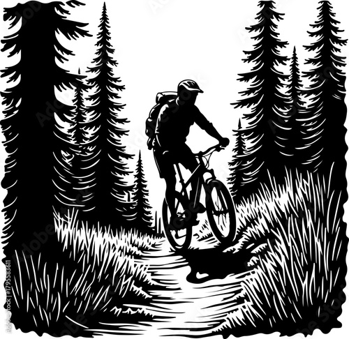 Mountain Biker in Forest Silhouette