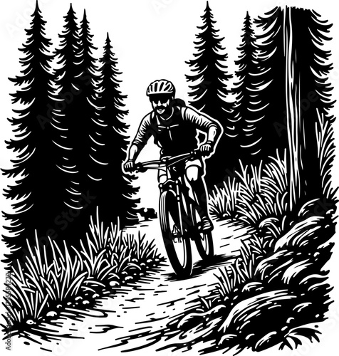 Mountain Biker in Forest Silhouette