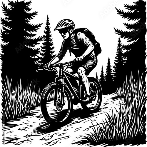 Mountain Biker in Forest Silhouette