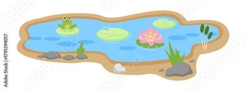 Illustration of a serene pond with a green frog sitting on a lily pad, surrounded by water lilies, rocks, and reeds.