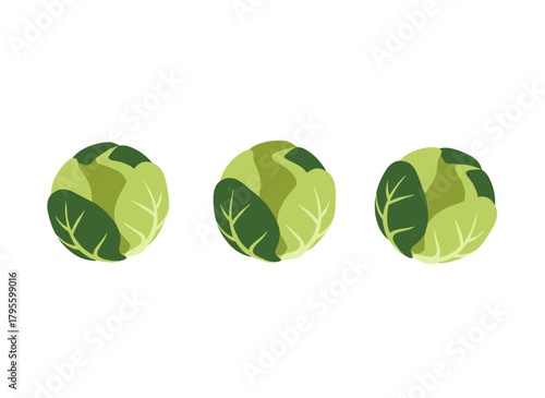 A small green Brussels sprout, a fresh organic baby cabbage rich in vitamins, round farm produce depicted as a flat vector illustration on a white background