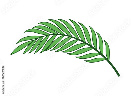 A green palm leaf, a tropical floral branch, an exotic natural sprig, fresh greenery with a bending twig, a botanical design element and organic decoration, presented as a flat vector illustration on