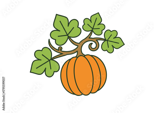 A ripe, orange, round pumpkin with green leaves, harvested in autumn, depicted in a vintage-style botanical illustration, a colored hand‑drawn vector image of the pumpkin set against a white