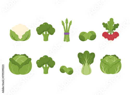 A set of vegetable icons featuring red cabbage, cauliflower, green asparagus, broccoli, Brussels sprout, bok choy, savoy, and lettuce, presented as a healthy natural food flat vector illustration on