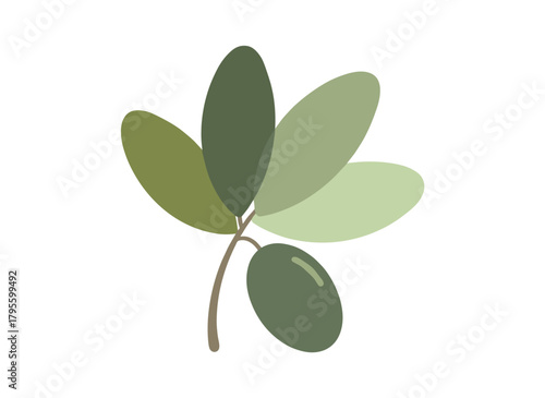 Illustration of an Australian eucalyptus flower featuring unopened buds within caps, hand‑drawn botanical element set against a white background, rendered as a floral vector of a wild exotic plant