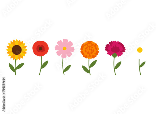 A floral set featuring blooming branches, blossomed plants, and a decorative collection, including a stunning rose, a field sunflower, and delicate echinacea, presented as a botanical flat vector