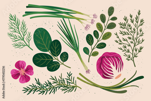 Assortment Of Fresh Herbs And Vegetables With A Pink Flower On A Light Background Keywords: herbs, vegetables, fresh, ingredients, food, cooking