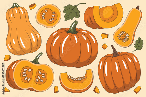 Collection of Orange Pumpkins and Butternut Squash Slices Keywords: pumpkin, squash, butternut squash, autumn, fall, harvest, seasonal, food, fruit