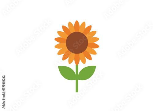 Sunflower, a farm plant, featuring a yellow blossom with petals, stem, and leaves, typical summer field flora and agricultural crop, depicted as a flat vector illustration on a white background