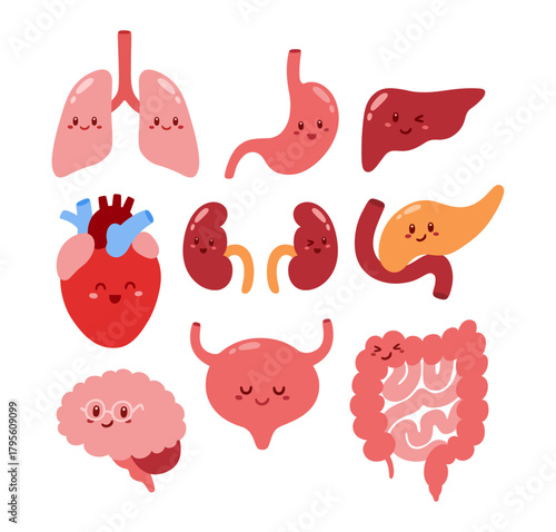 Set of drawing human anatomy cartoon. Lungs, kidney, pancreas, brain, stomach, liver, heart, bladder, intestines.