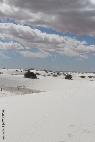  White dunes