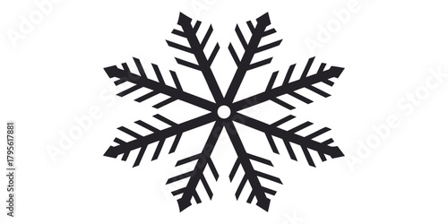 snowflake on a white background