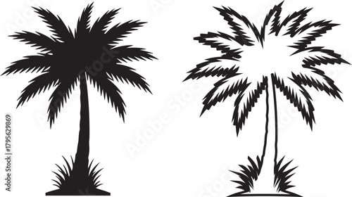 silhouette of palm trees