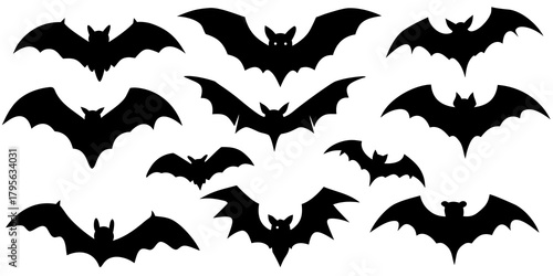 flying bats vector