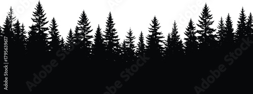 forest, silhouette, pine, fir, tree, vector, black, nature, wilderness, outdoor, skyline, conifer, landscape, tranquil, outline