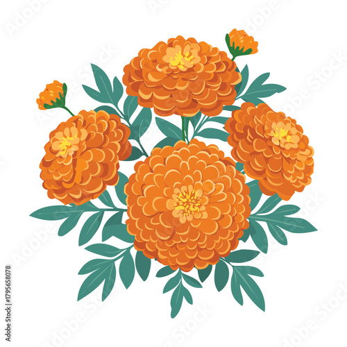 Detailed Cluster of Orange Marigold Plant Flowers with Realistic Green Foliage Against a Simple Bright Space